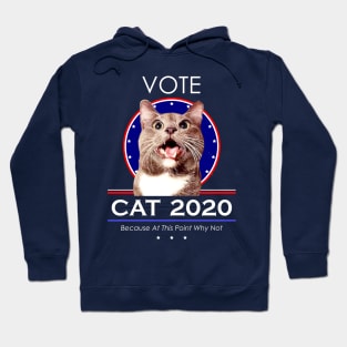 Vote Cat 2020! Because At This Point Why Not Hoodie